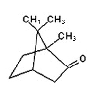 合成樟脑